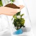 Glass Vase Hanging Terrarium Succulents Plant Landscape Home Decor Gift   